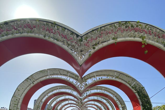 Виды Грозный - центр мира