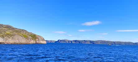 Экскурсия "Красоты Баренцева моря: Морская прогулка в поисках китов" - фото отзыва 2