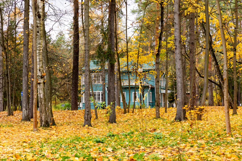 По литературным местам осеннего Переделкина — фото 1