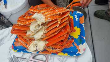 Экскурсия "Морская прогулка к острову Старичков: морская рыбалка и крабовое сафари" - фото отзыва 4