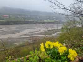Экскурсия "Обзорный тур из Баку: Розовое озеро, Карамельные горы, Шахдаг и виды Лаза" - фото отзыва 5