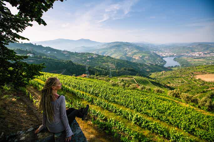 Douro Valley: Full-Day Tour with Lunch and Wine Tasting Included
