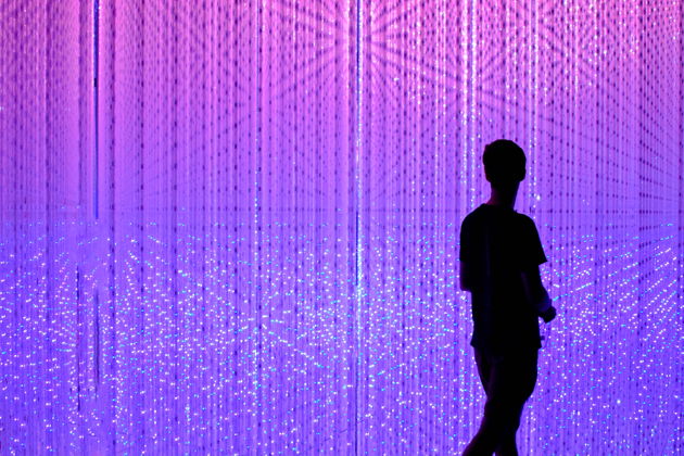 TeamLab Borderless: безграничное цифровое искусство в Токио