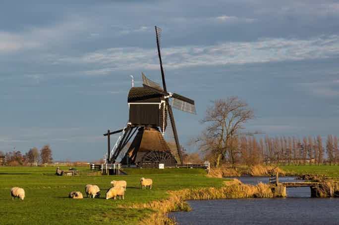 Из Амстердама на велосипеде по фермам, рыбацким деревням, каналам и дамбам