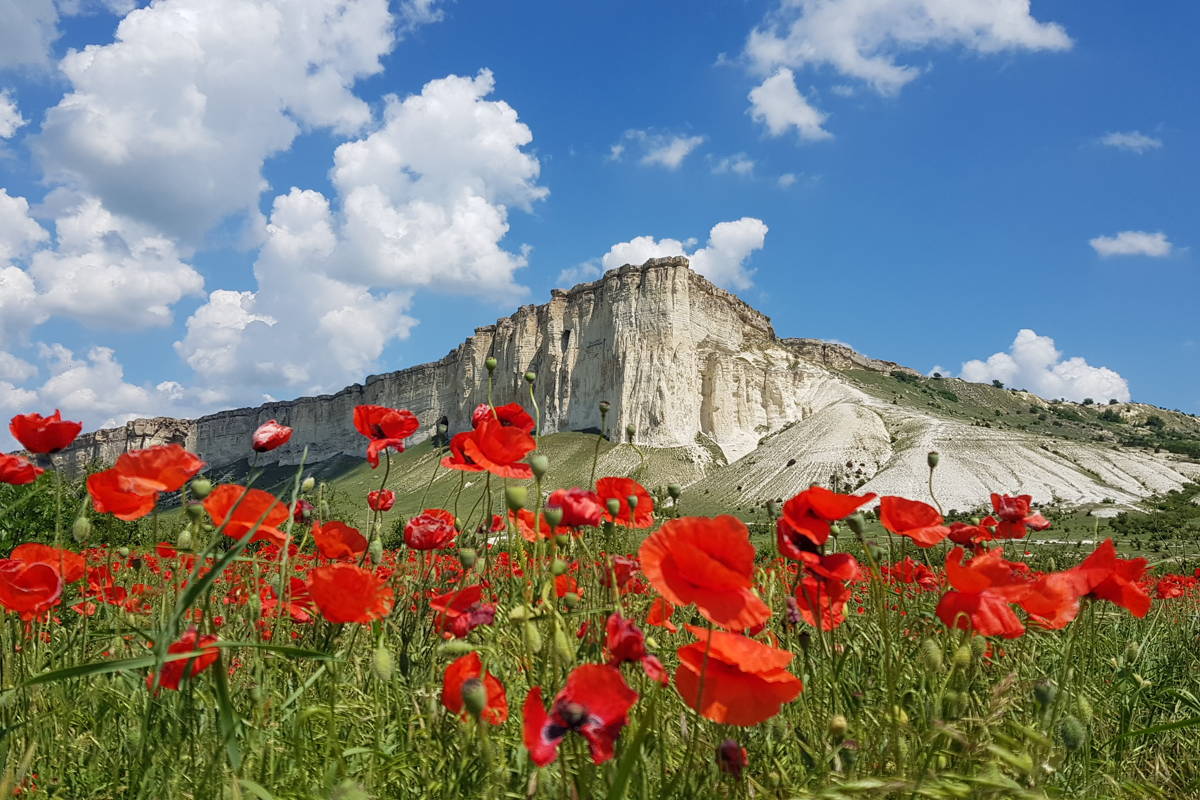 Трансфер до отеля с лучшим экскурсоводом Крыма