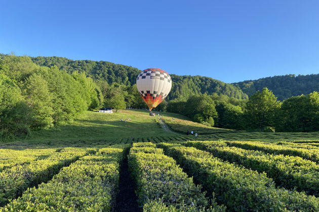 Виды К чайным плантациям Солохаула на комфортабельном мотоцикле!