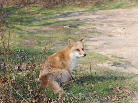 Приморский Сафари-парк