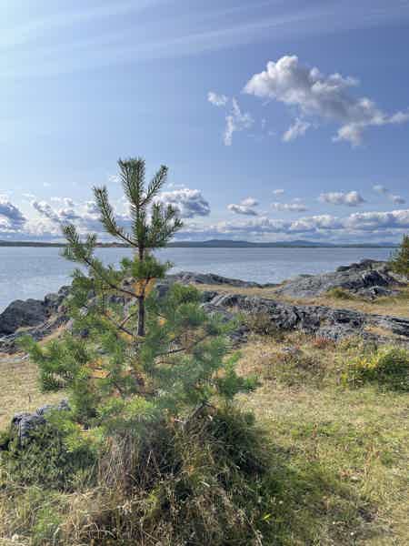 Кандалакша и Белое море с горы Волосяной - фото 3