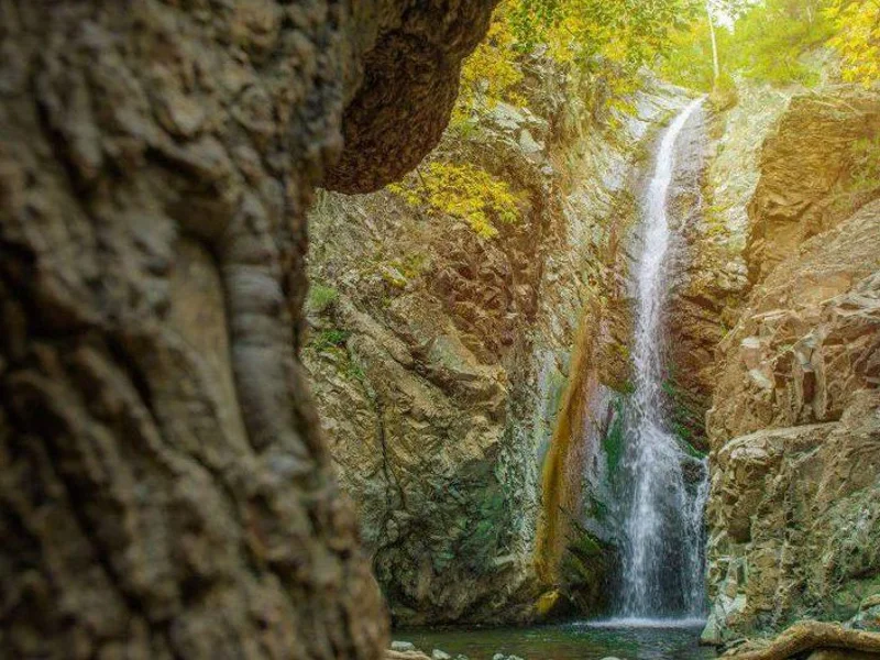 Гурмэ-вояж по Кипру — фото 6, Айя Напа | Покатаем