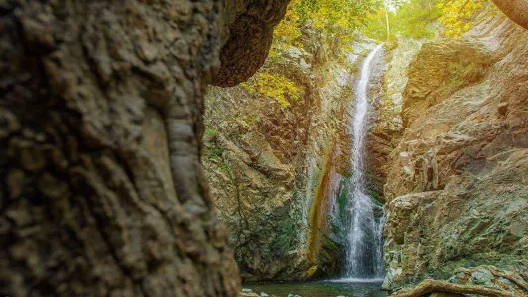 Гурмэ-вояж по Кипру - фото 5