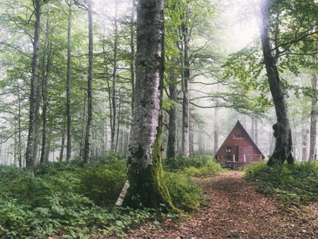 Национальный парк Мтирала
