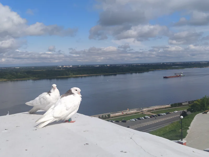«Пройти, увидеть и влюбиться!": по самому сердцу Нижнего Новгорода — фото 3, Нижний Новгород | Покатаем