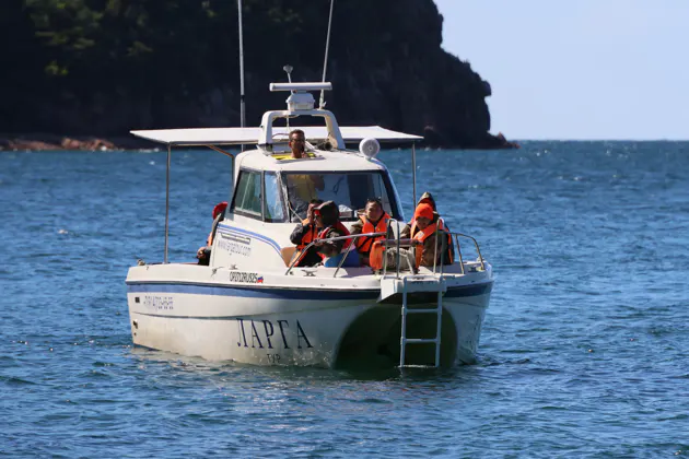 Морское путешествие к островам Японского моря и котикам — фото 3