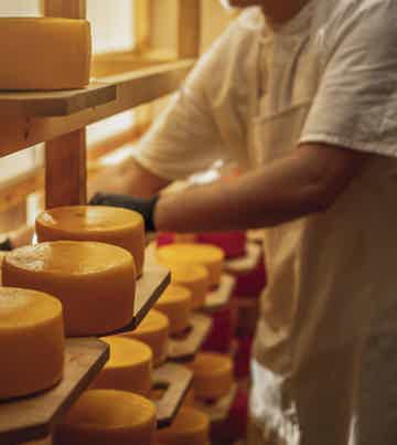 Стать сыроваром на один день