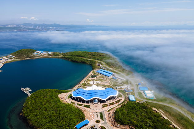 Виды Экскурсия в Приморский океанариум