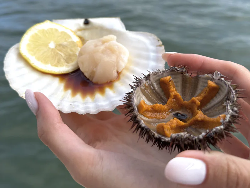 Морское путешествие к островам Японского моря и котикам — фото 5, Владивосток | Покатаем