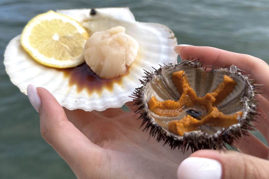 Морское путешествие к островам Японского моря и котикам — фото 4