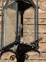 Экскурсия "Барселона: Легенды и тайны Старого Города" - фото отзыва 1