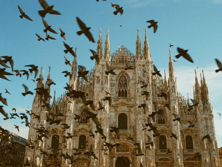 Район Навильи