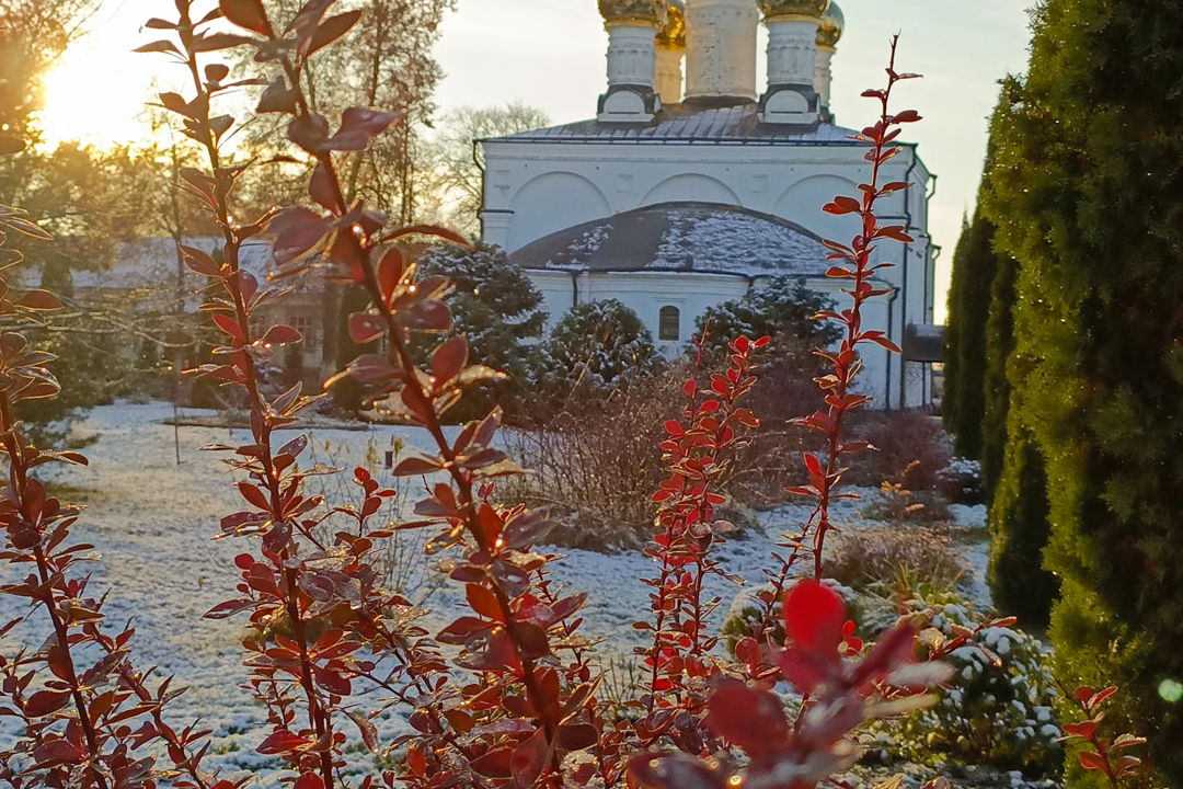 Солотча: жемчужина Мещеры — фото 8