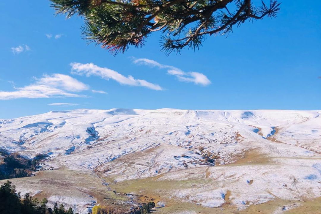 Вся Адыгея: Майкоп, плато Лаго-Наки, Азишская пещера и многое другое — фото 3