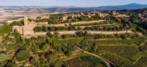 Дегустация Брунелло — великих вин территории Монтальчино