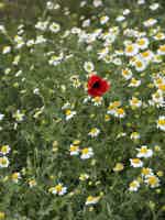 Экскурсия "Приключение на бархане «Большой Брат» или завтрак в пустыне" - фото отзыва 1