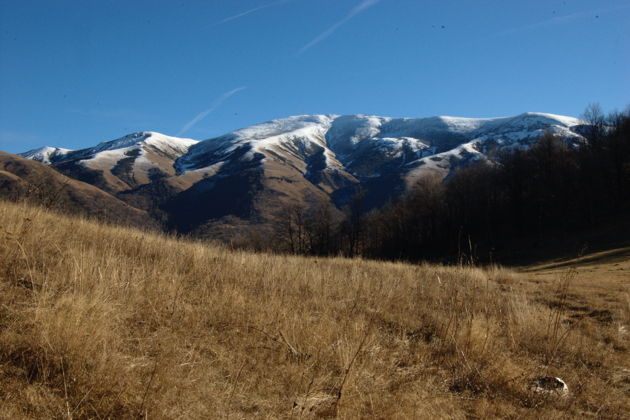 Виды Эко-тур в заповедную зону