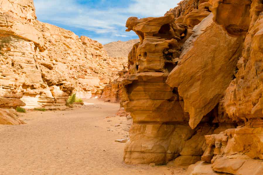 Путешествие в Дахаб: каньон Салама, Голубая дыра, верблюды - фото 2