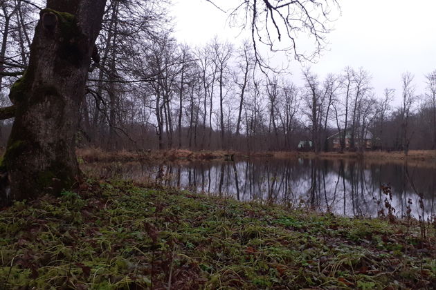 Усадьба Гостилицы. Экскурсия по парку