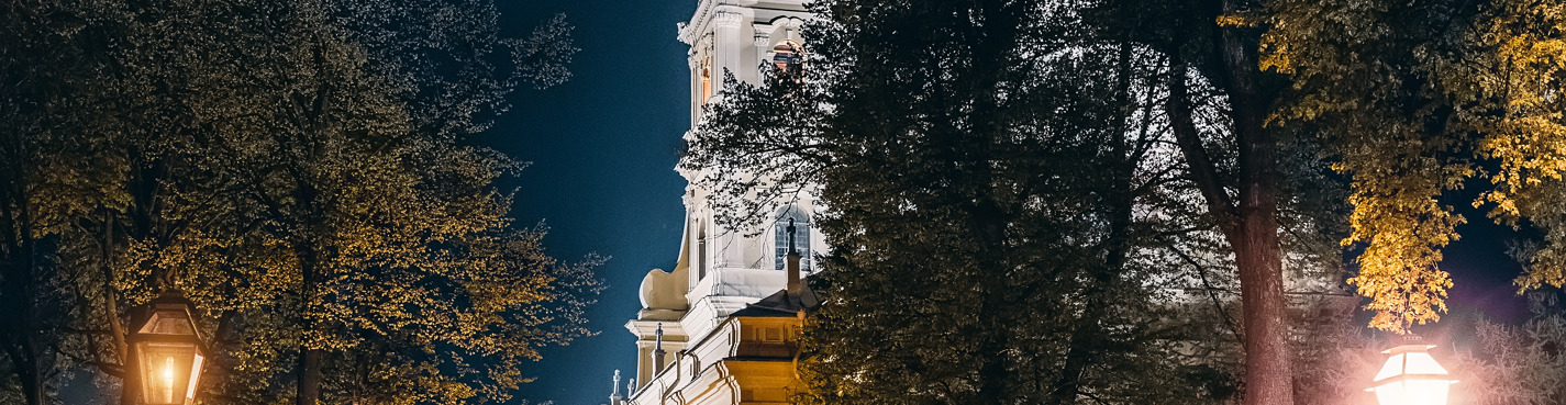 Уникальный вид на мосты с Невской панорамы Петропавловской крепости