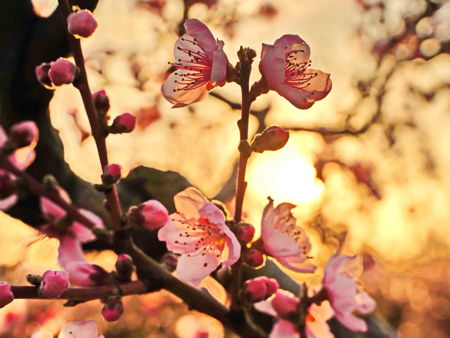 Успенский пещерный монастырь