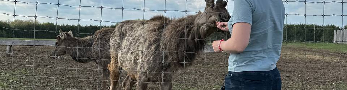 Мараловый ретрит: в гости к алтайским маралам