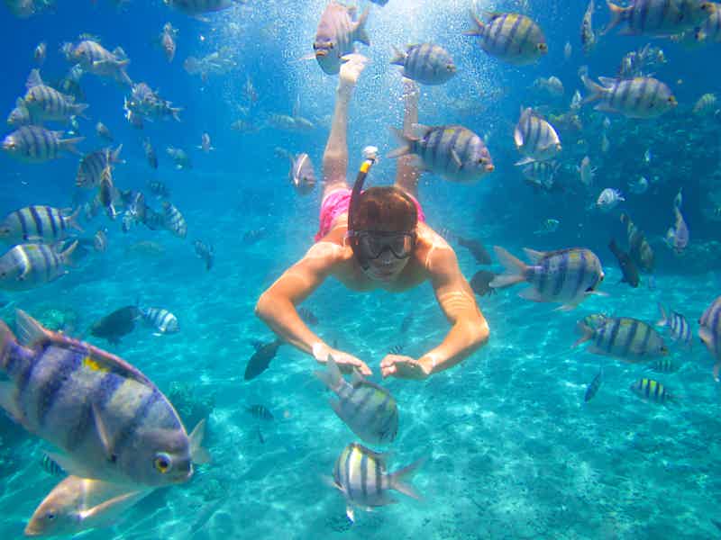 Батискаф — рыбки и кораллы прямо перед вами - фото 4
