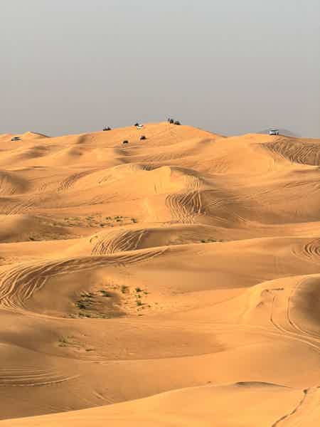 Увлекательное сафари в пустыне без ужина и шоу-программы - фото 4