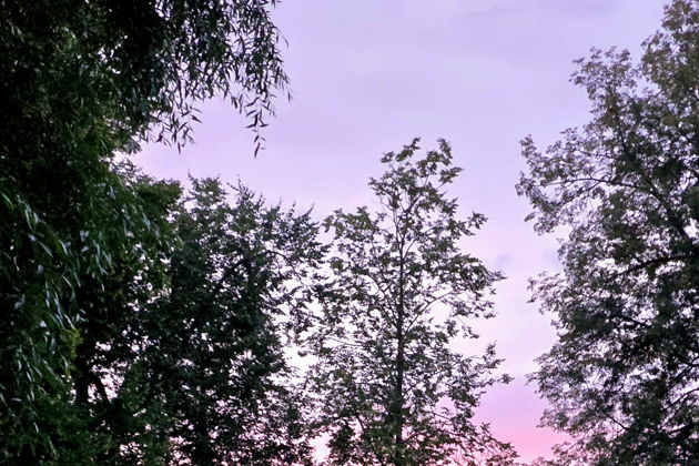 Виды Екатерининский и Александровский парки — билеты включены