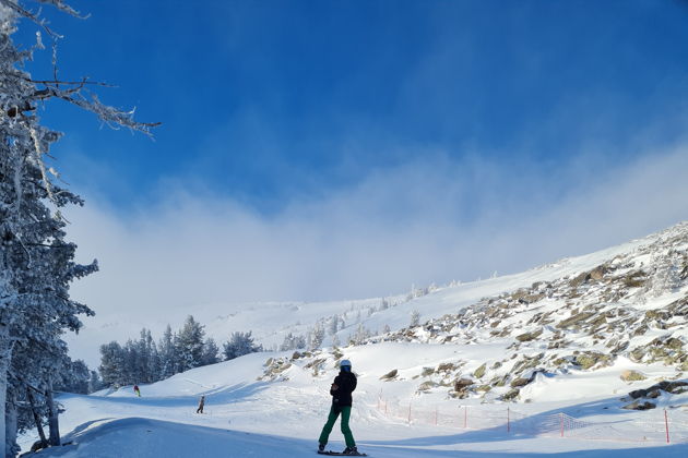 Горнолыжный тур «Манжерок - Телецкий»