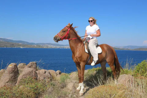 Bodrum: Horse Riding Experience with Forest or Seaside Route