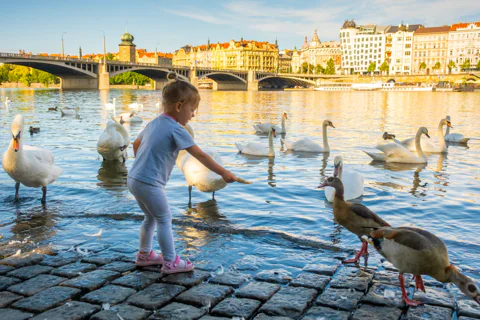 Prague Beaches: River Spots, Lakes & Beach Clubs