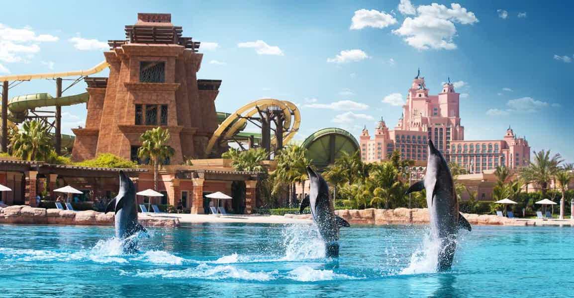 Дубай: глубоководное плавание с дельфинами в Atlantis - фото 5