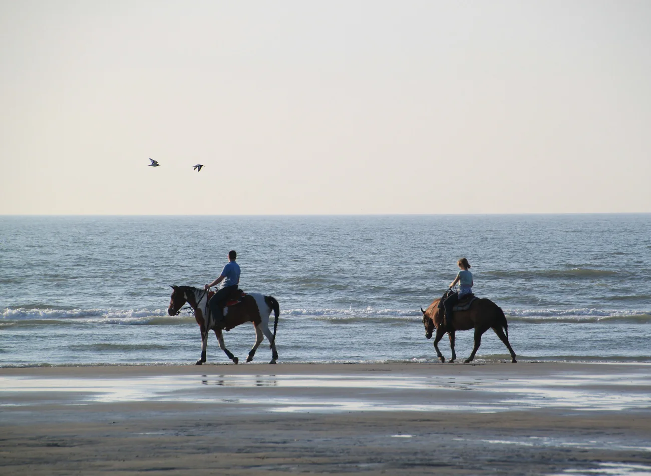Horseriding in Hurghada — tour in Hurghada, Egypt | Pokataem