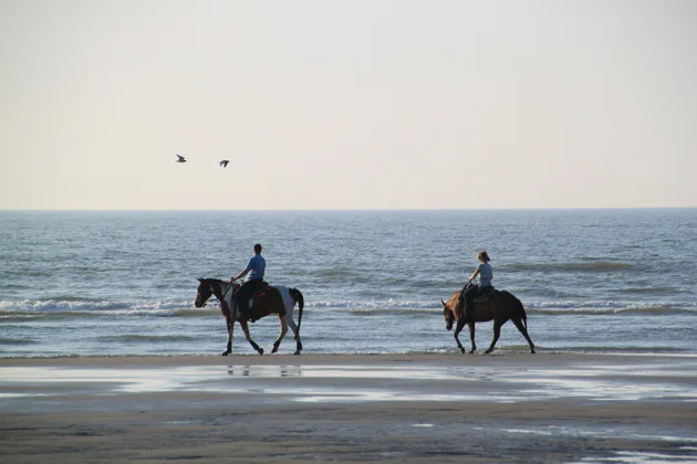 Horseriding in Hurghada — tour in Hurghada | Pokataem