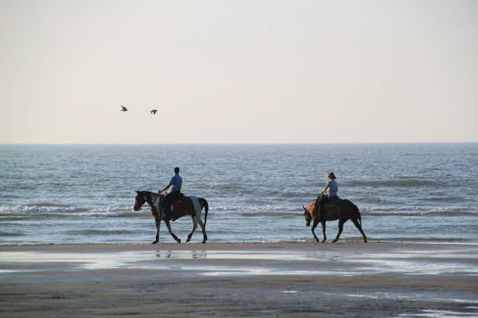 Horseriding in Hurghada