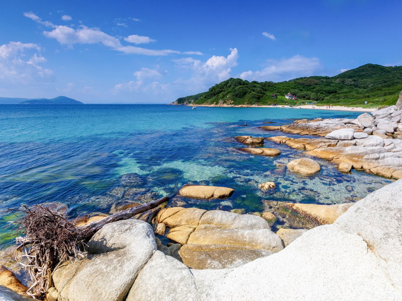 Три незабываемых дня во Владивостоке 2026: эко-маршрут и природа Приморья