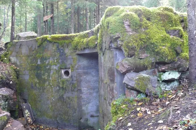 Экскурсия по местам трёх советско-финских войн «Каменные тропы» — фото 2