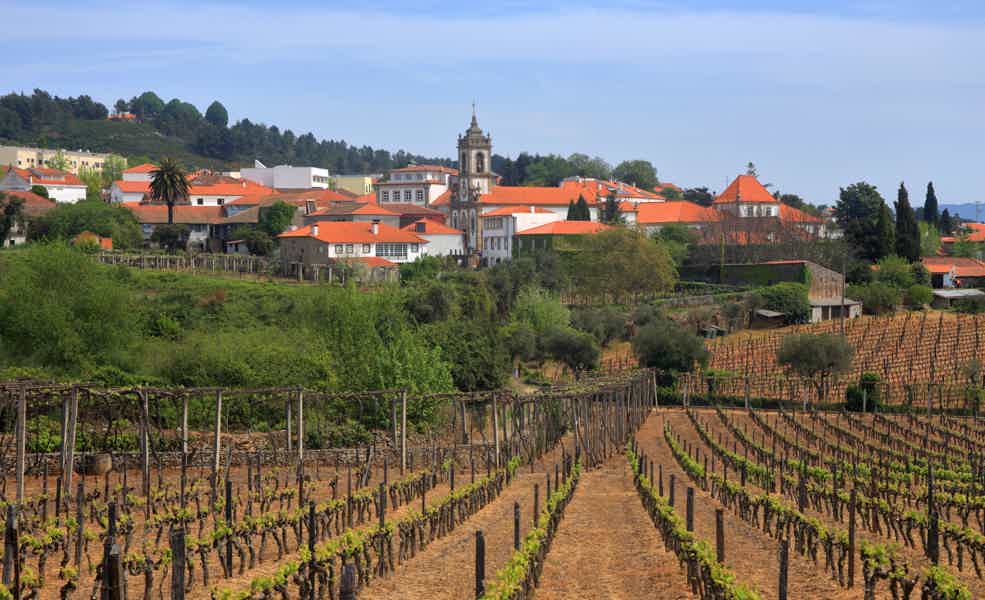Private Douro Valley Trip with Wine Tasting & Booking Service - photo 2