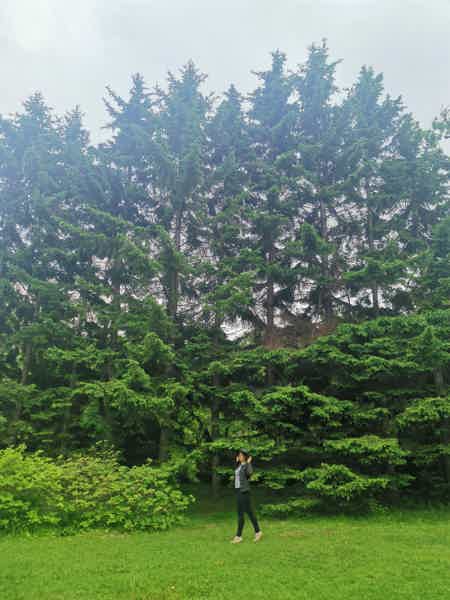 Восхождение на сопку Сихоте-Алиньского хребта в черте г. Владивосток - "Роза Ветров" + фотопрогулка в Ботаническом саду - фото 3