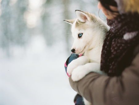 Саамская деревня