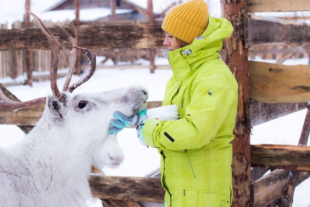Виды Приключенческий Кольский: Териберка, киты, сияние, Хибины
