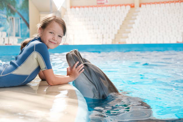 Встреча с дельфинами и билет в аквапарк Aquaventure